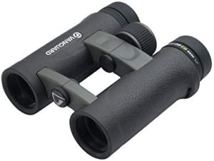 VANGUARD Endeavor ED 10x42 Binocular