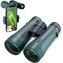 Best Budget Binoculars for Bird Watching