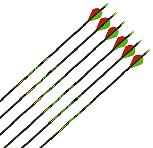 Gold Tip Hunter 300 Arrows