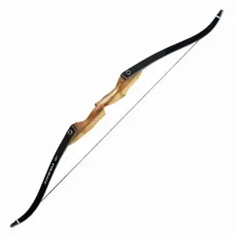Best Recurve Bow for Hunting Big Game