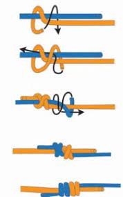  Best Fishing Knots