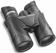 Steiner Predator 10x42mm Binoculars