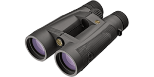 Leupold BX-5 Santiam HD 10x42mm Binoculars