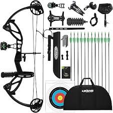 Best Budget Compound Bows
