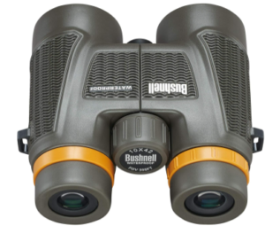 Best Binoculars for Beginners
