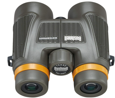 Best Binoculars for Beginners